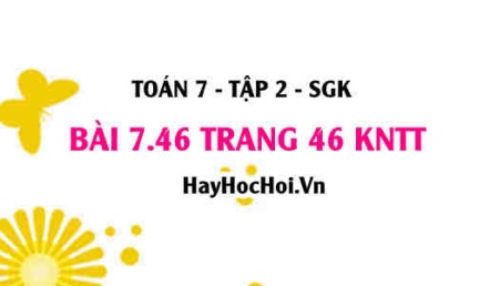 Bài 7.46 trang 46 Toán 7 Tập 2 Kết nối tri thức